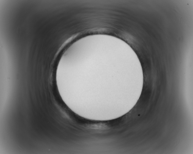 X0000083550112200703091603