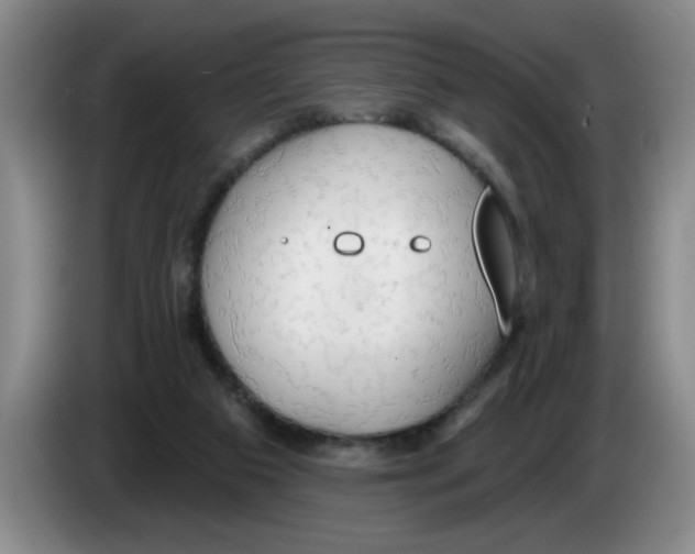 X0000083550113200703091603
