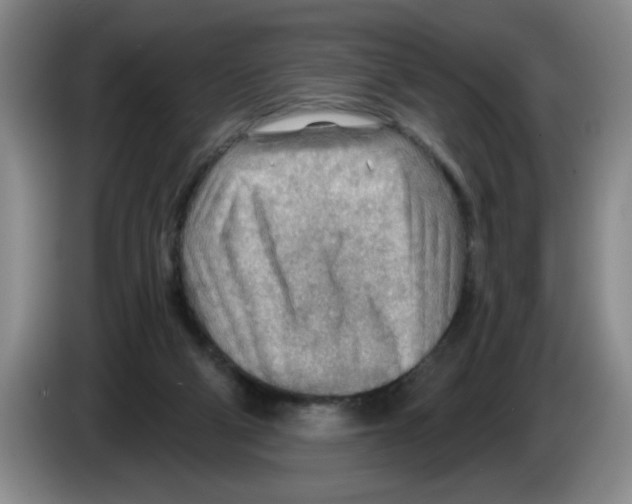 X0000083550114200703091603