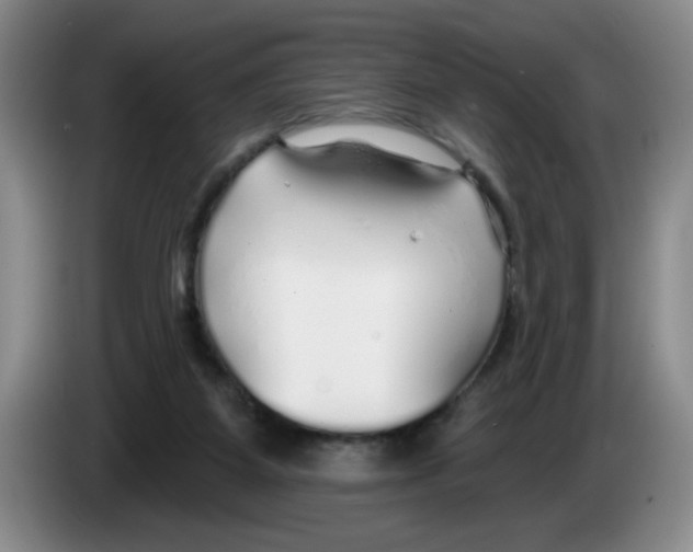 X0000083550115200703091603