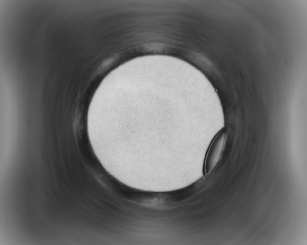 X0000083550116200703091603