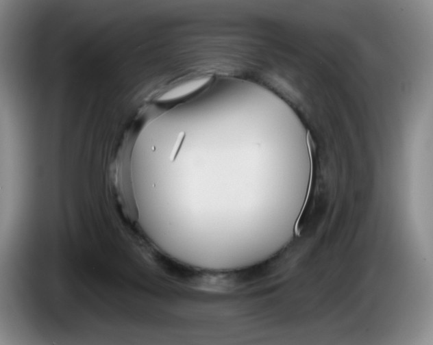 X0000083550117200703091603