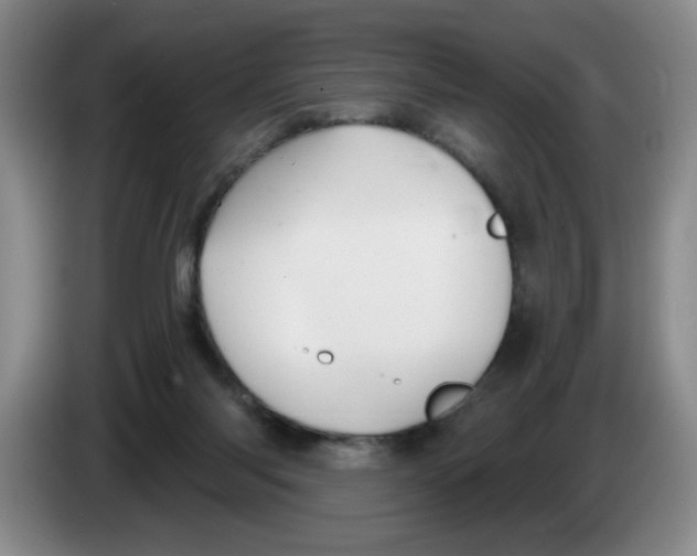 X0000083550118200703091603