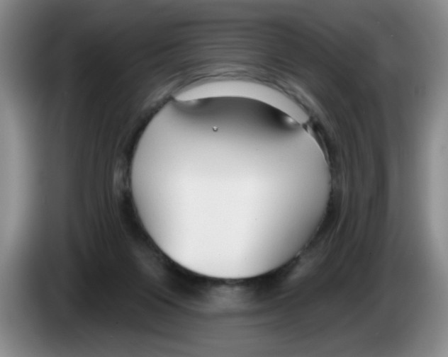 X0000083550119200703091603