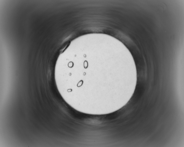 X0000083550120200703091603