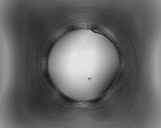X0000083550121200703091603
