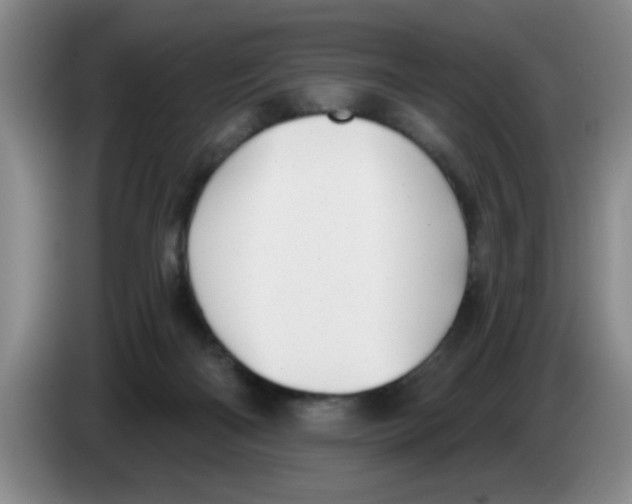 X0000083550122200703091603