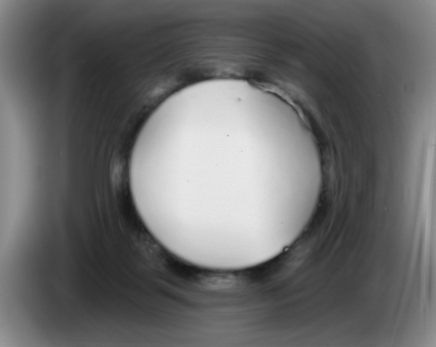 X0000083550123200703091603