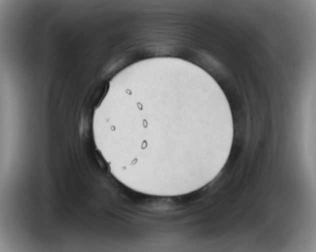 X0000083550124200703091603