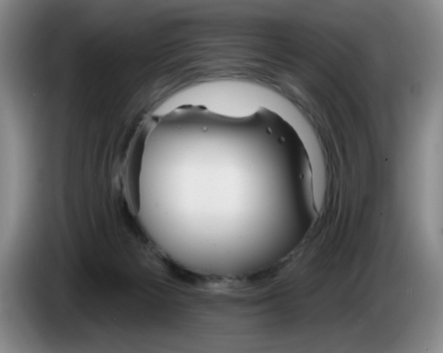 X0000083550125200703091603