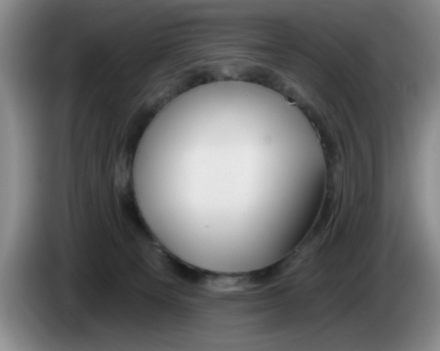 X0000083550129200703091603