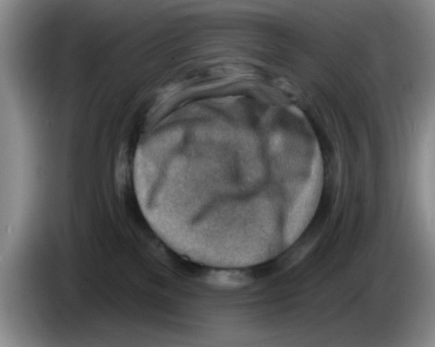 X0000083550137200703091603