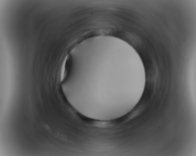 X0000083550139200703091603