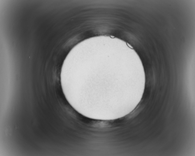 X0000083550140200703091602