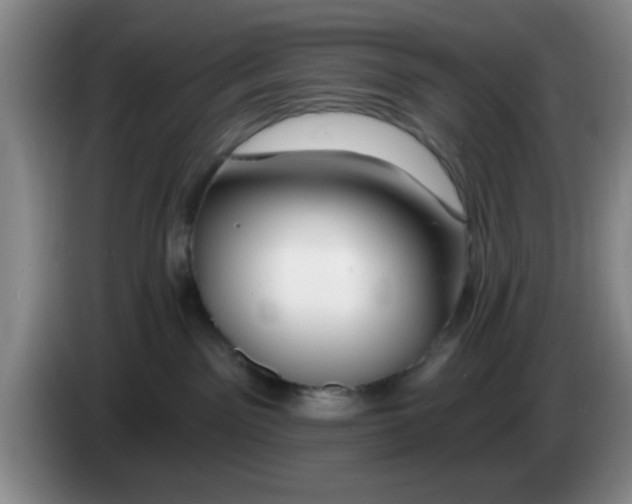 X0000083550141200703091602