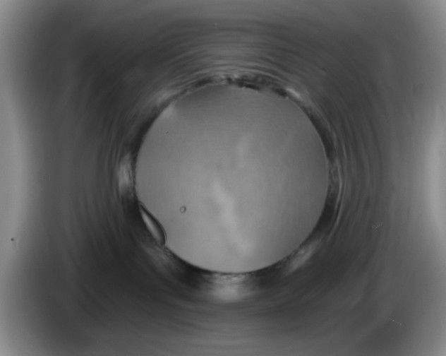 X0000083550143200703091602