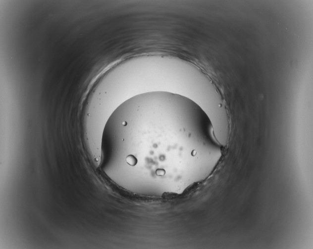 X0000083550146200703091602