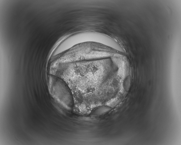 X0000083550147200703091602