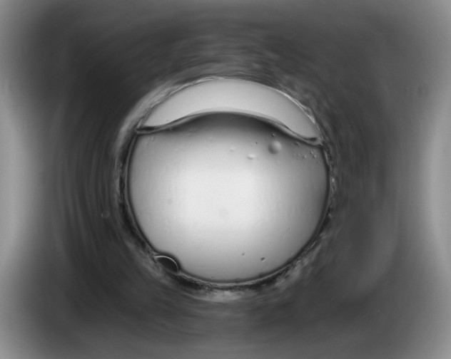 X0000083550149200703091602