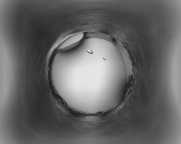 X0000083550150200703091602