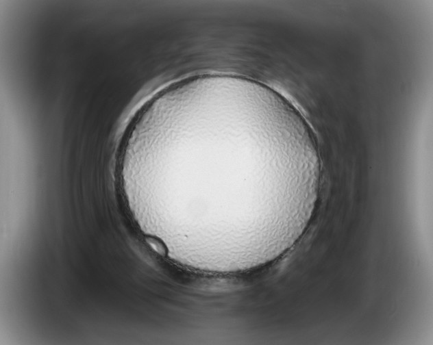 X0000083550151200703091602