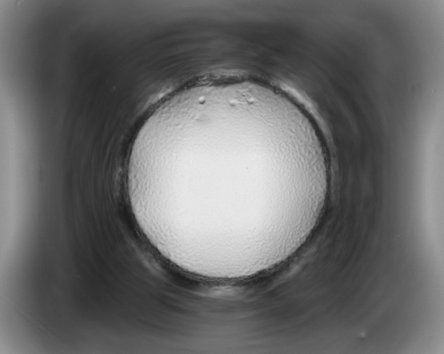 X0000083550153200703091602
