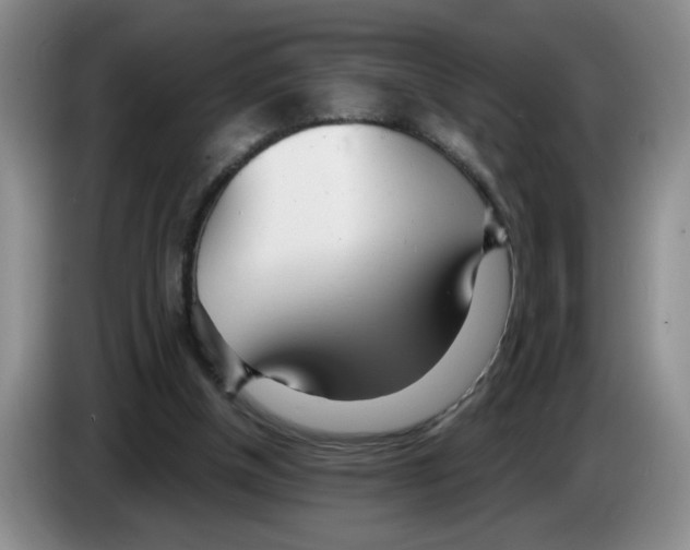 X0000083550154200703091602