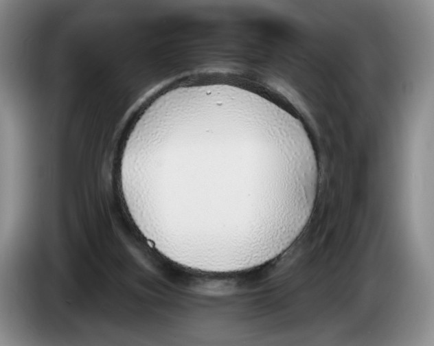 X0000083550155200703091602