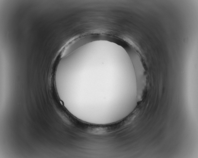 X0000083550156200703091602
