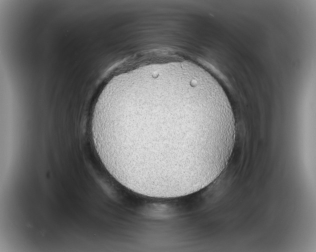 X0000083550159200703091602