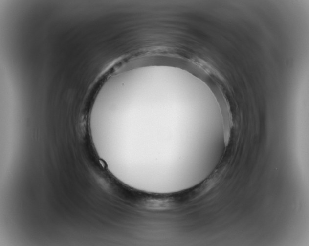 X0000083550160200703091602