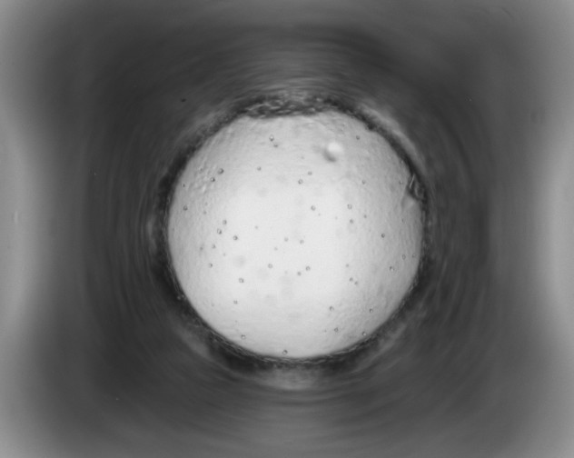 X0000083550161200703091602