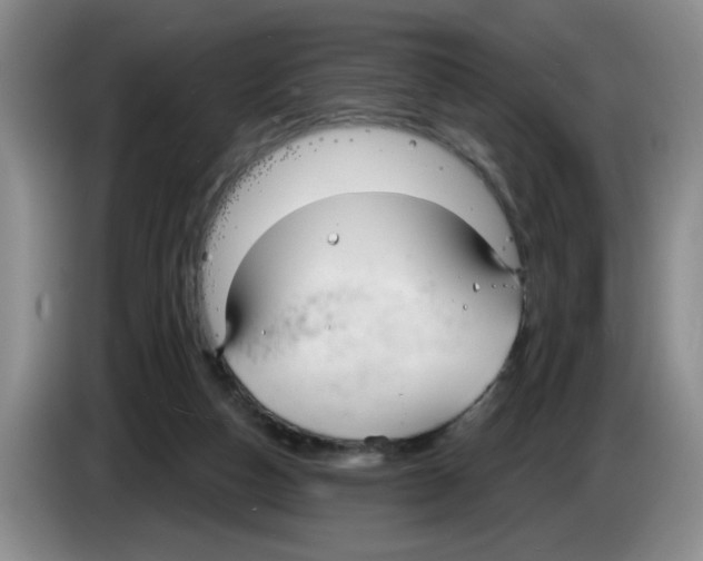 X0000083550162200703091602