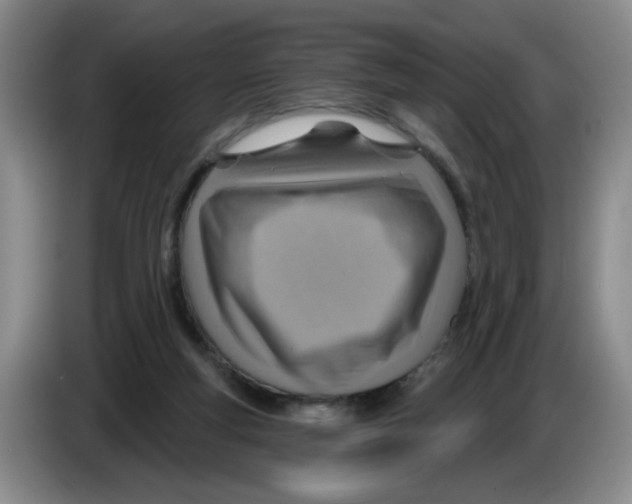 X0000083550163200703091602