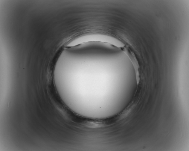 X0000083550164200703091602