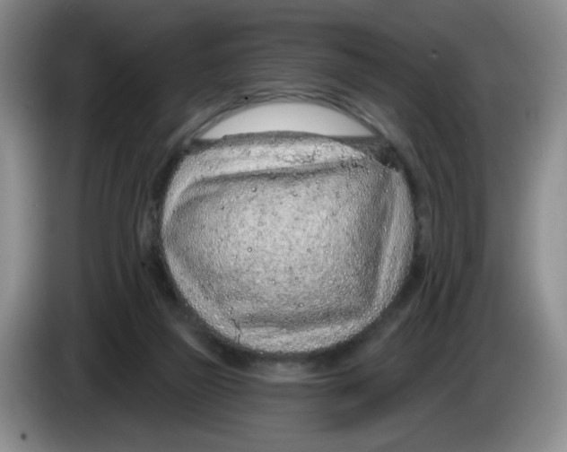X0000083550165200703091602