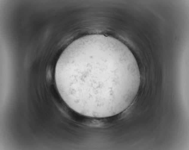 X0000083550166200703091602