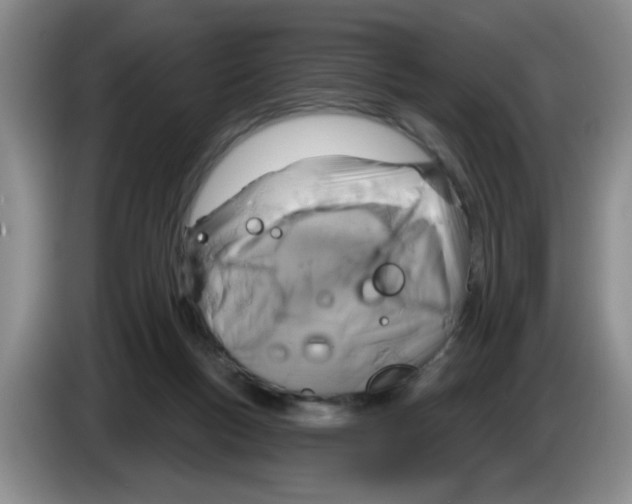X0000083550167200703091602