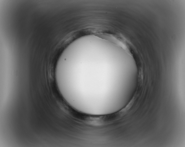 X0000083550170200703091602