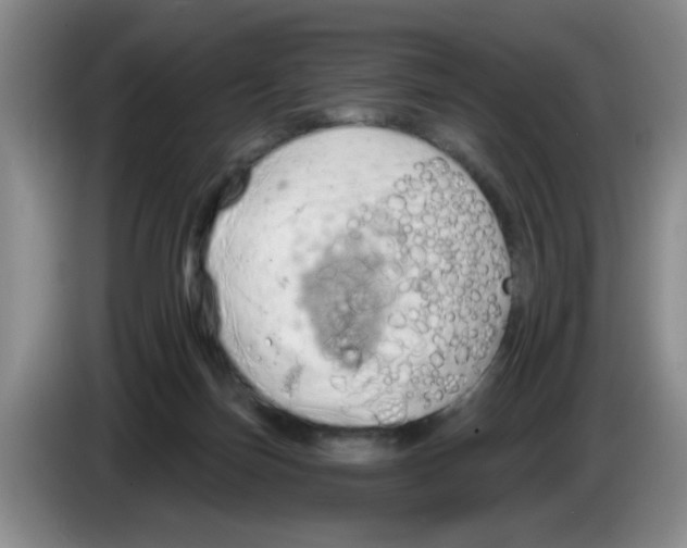 X0000083550171200703091602