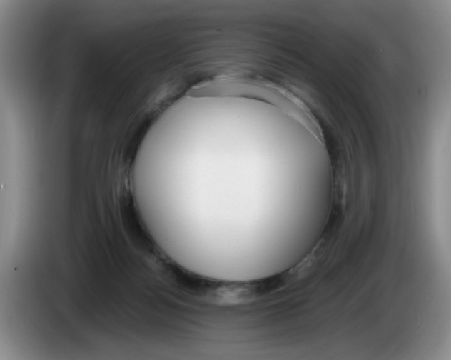 X0000083550172200703091602
