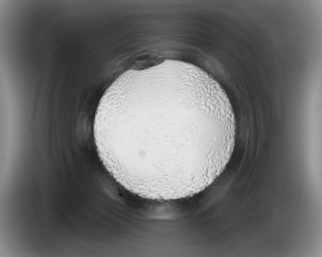 X0000083550173200703091602