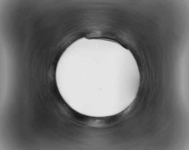 X0000083550174200703091602