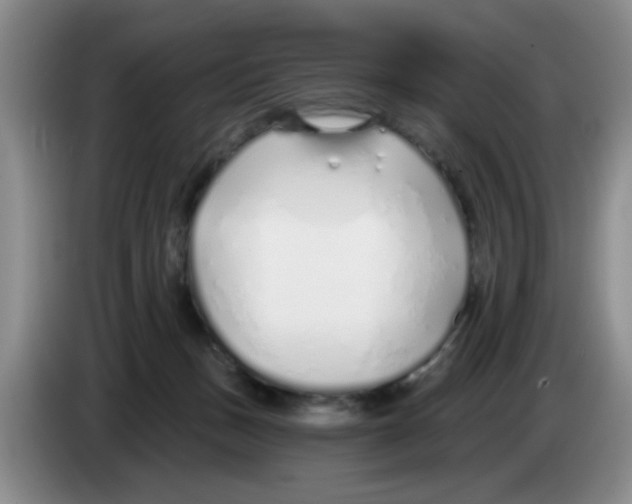 X0000083550175200703091602