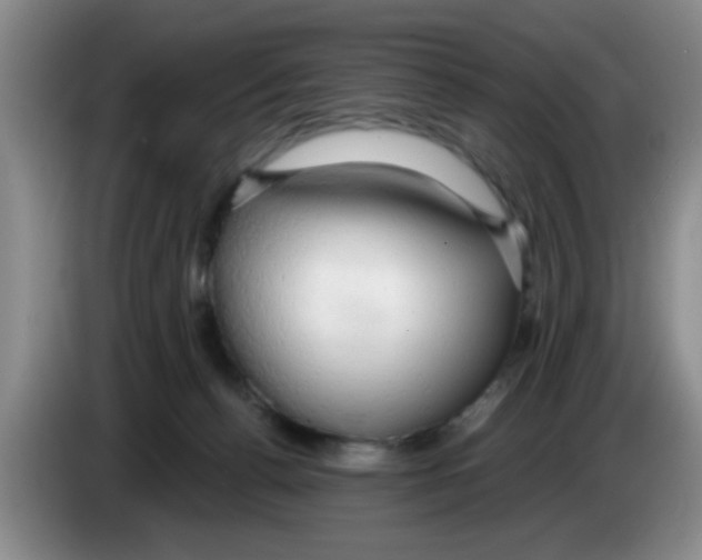 X0000083550176200703091602