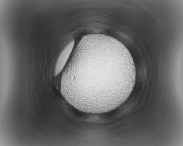 X0000083550177200703091602