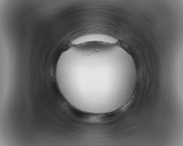 X0000083550178200703091602