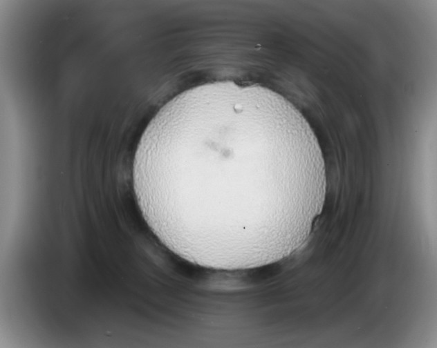 X0000083550179200703091602