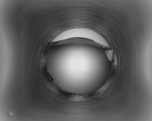 X0000083550180200703091602