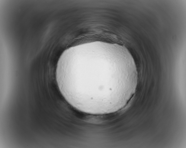 X0000083550182200703091602